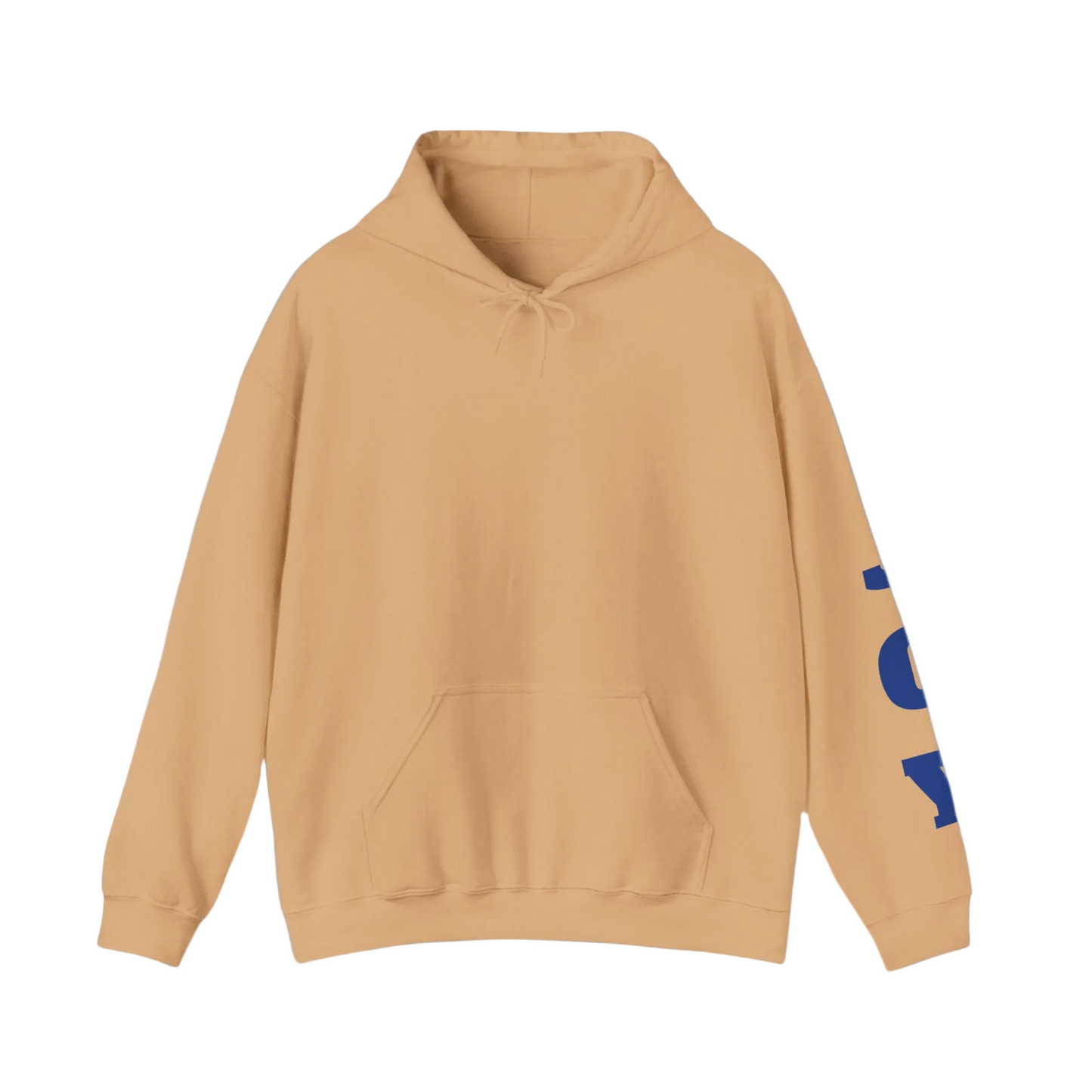 Joy Hoodies Jumpers