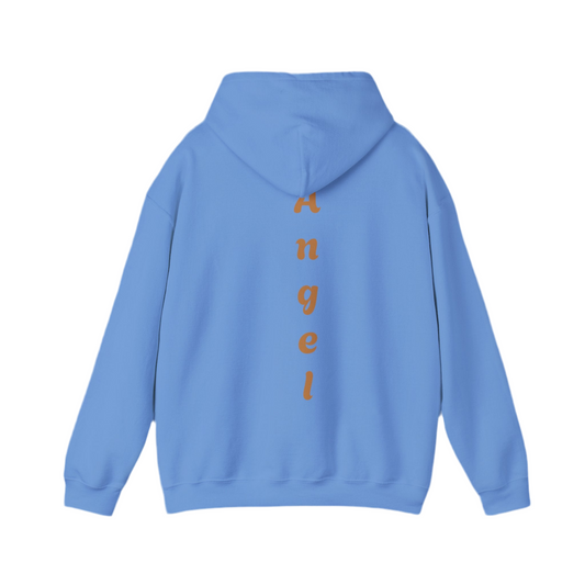 Angel Hoodies Jumpers