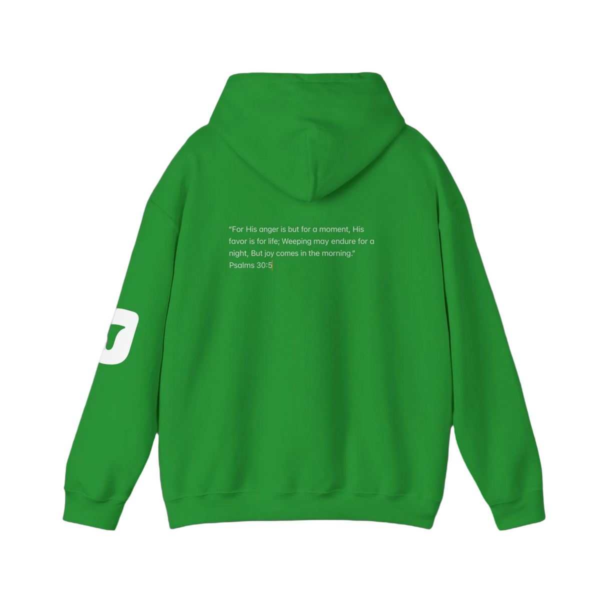 Joy Hoodie Jumpers
