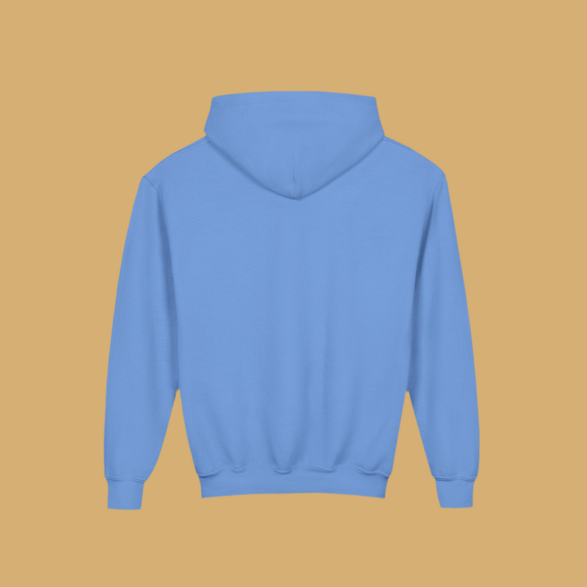 Joy Youth Hoodie Jumpers