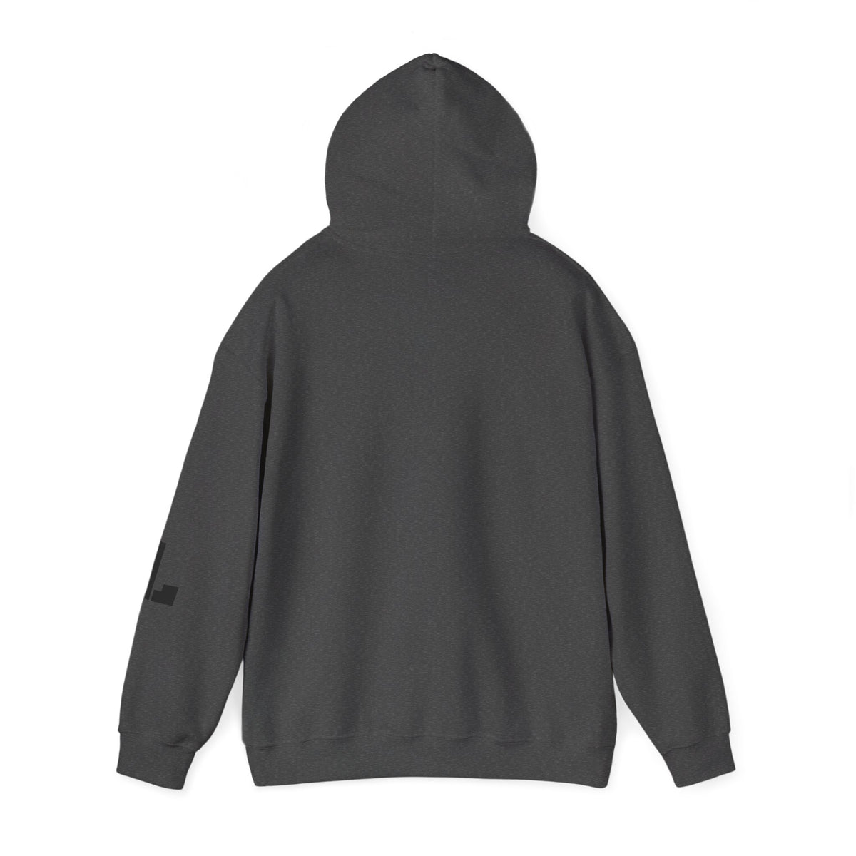 Lion Hoodie Jumpers