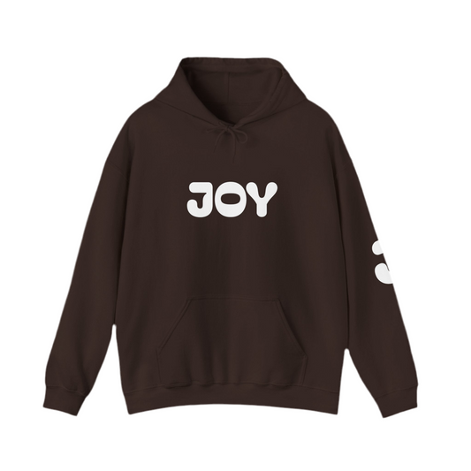 Joy Hoodie Jumpers