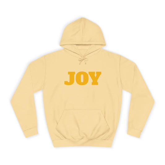 Joy Hoodie Jumpers