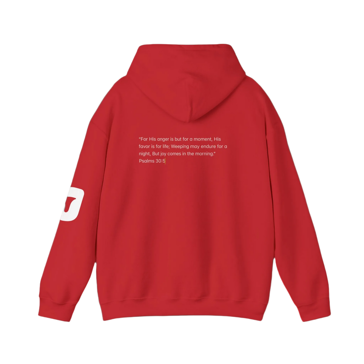 Joy Hoodie Jumpers