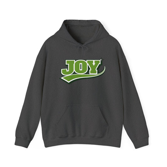 Joy Hoodie Jumpers