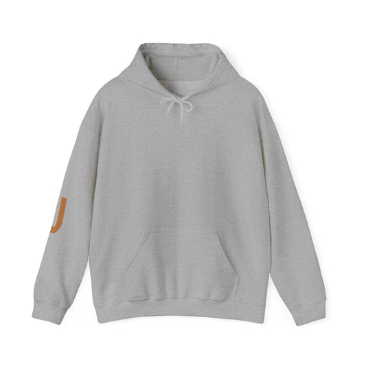 Joy Hoodie Jumpers