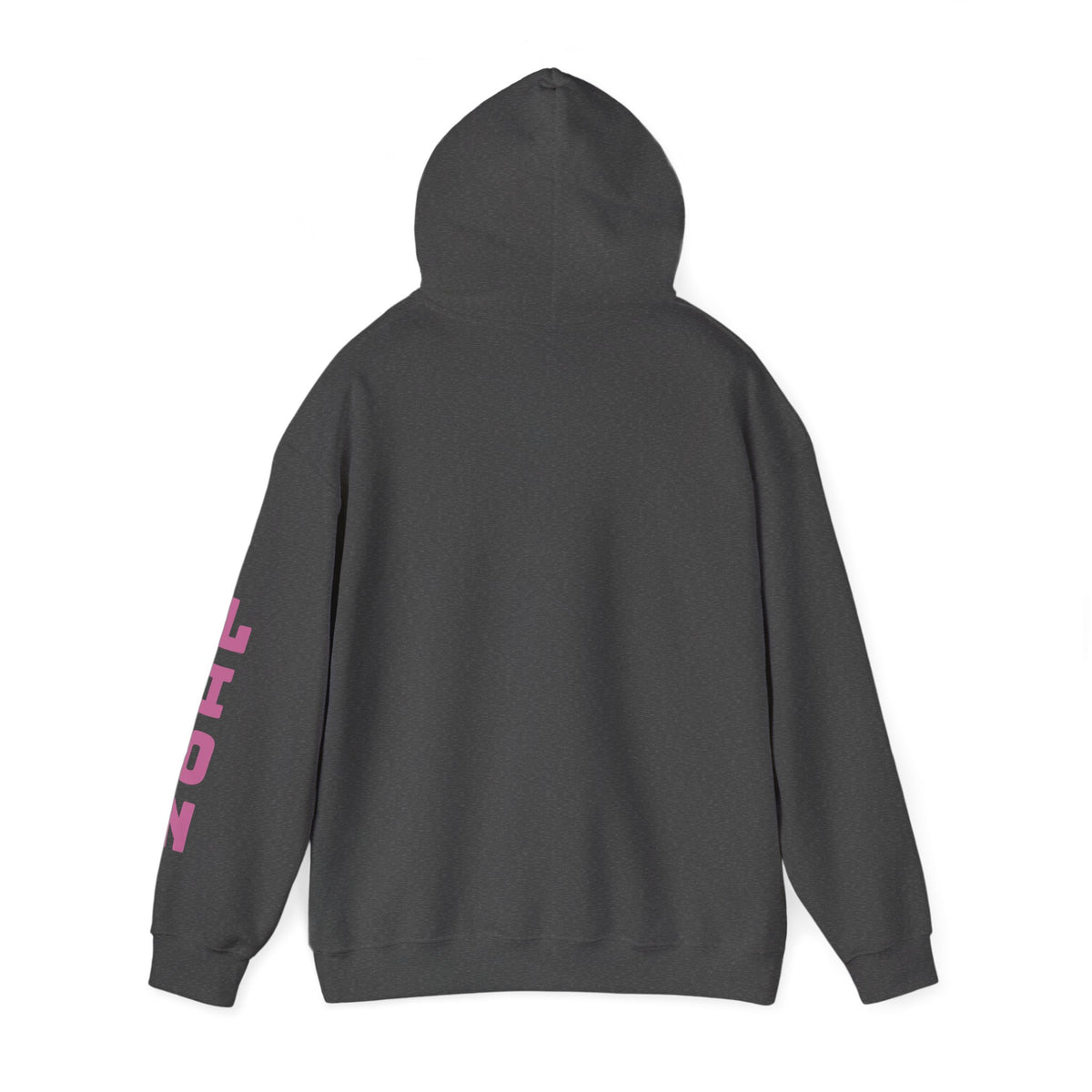 Lion Hoodie Jumpers