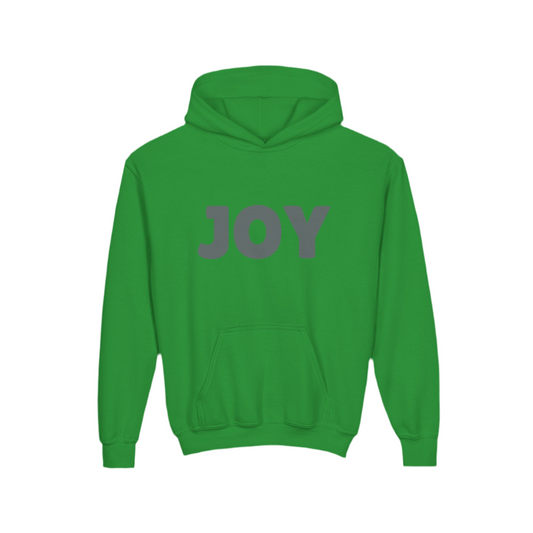 Joy Youth Hoodie Jumpers