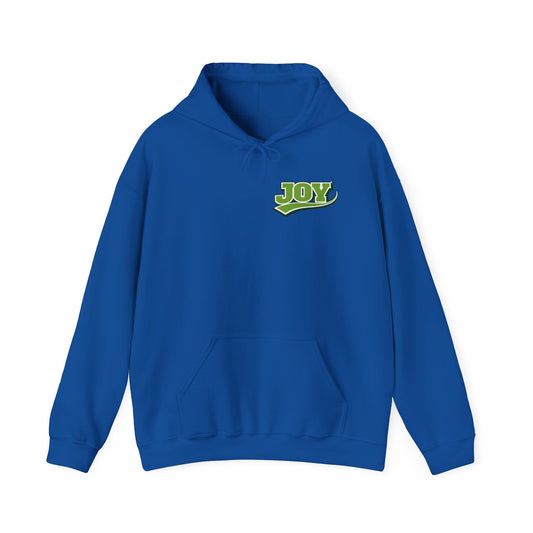 Joy Hoodie Jumpers