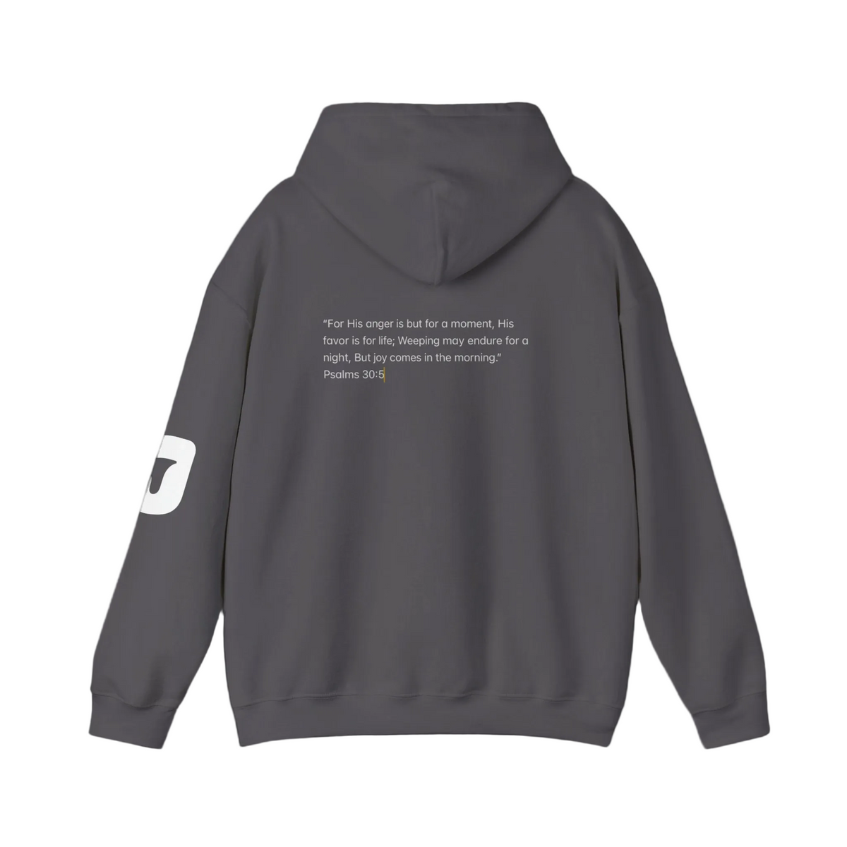 Joy Hoodie Jumpers