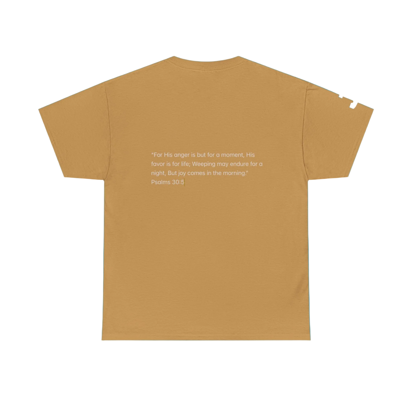 Joy T-shirts