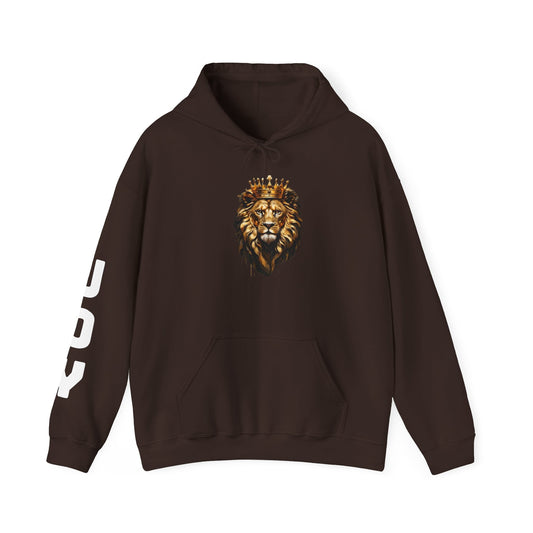 Joy Hoodies Jumpers