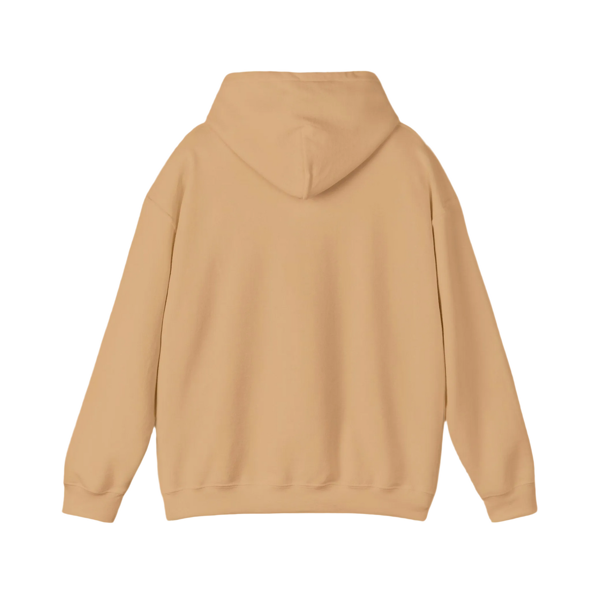 Joy Hoodie Jumpers