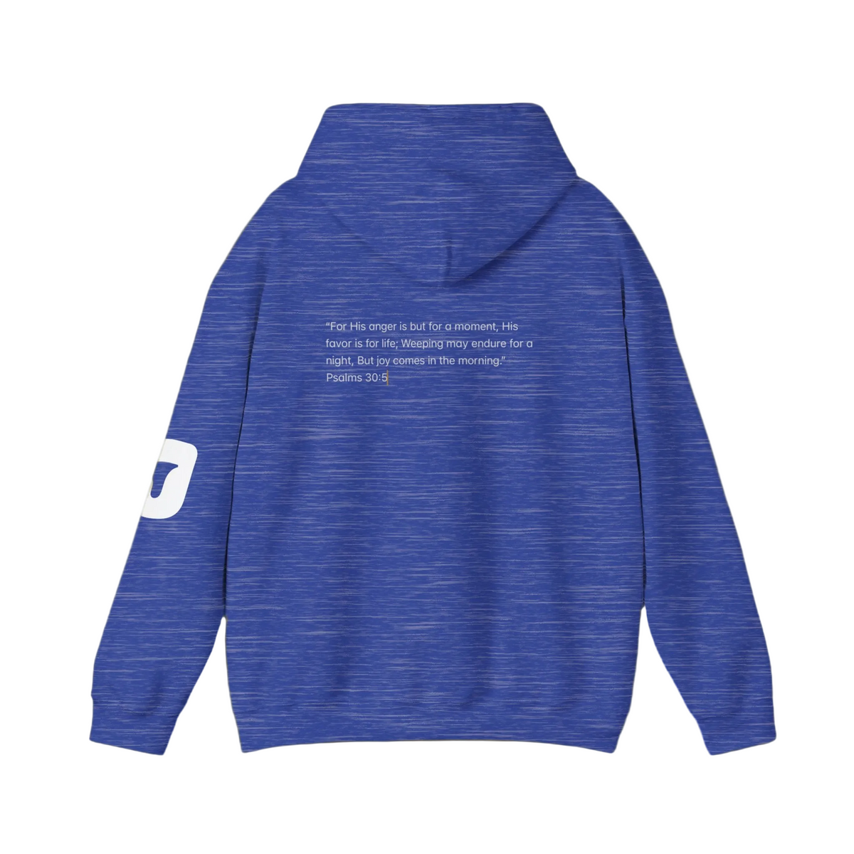 Joy Hoodie Jumpers